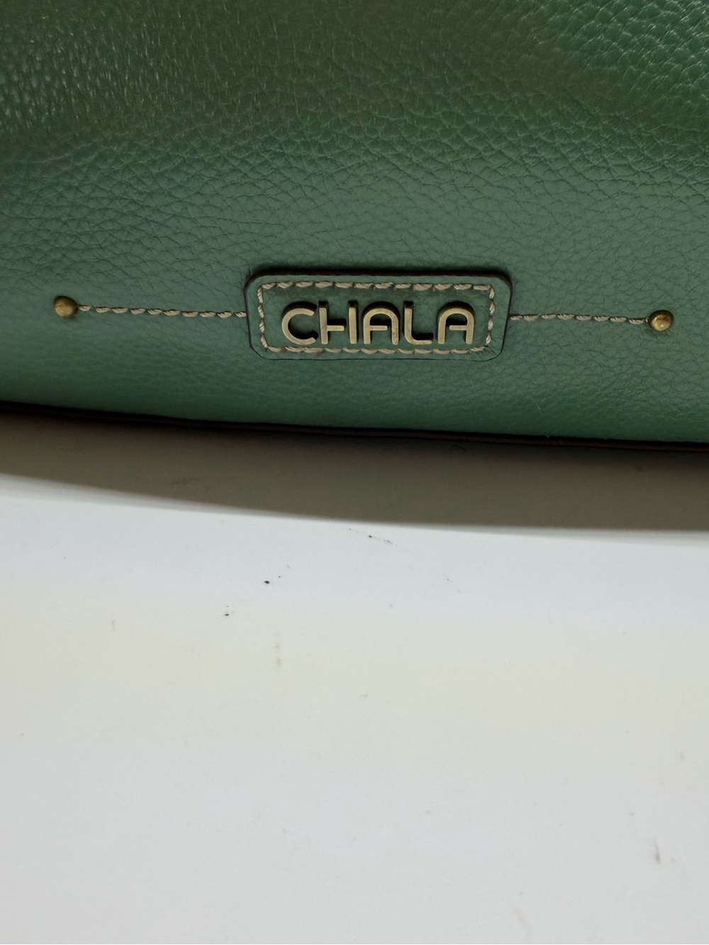 Chala Sweet Hobo Shoulder Bag in Mint Green with Dog Coin Purse - Picture 5 of 14